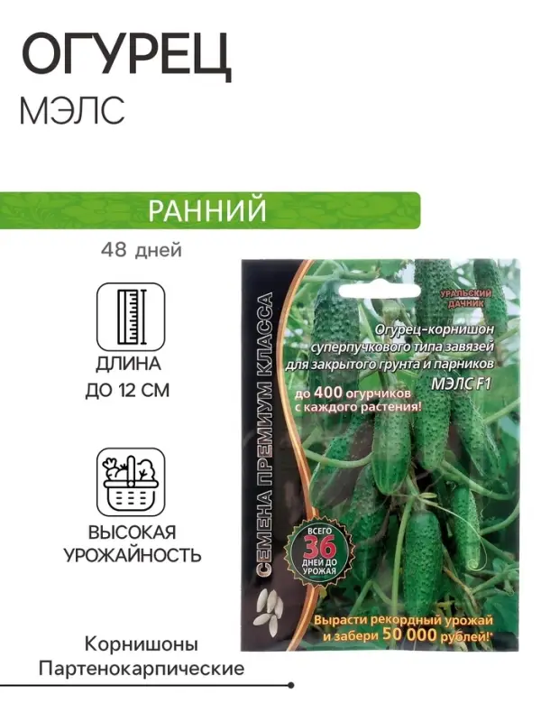 Семена огурец корнишон &laquo;Мэлс&raquo;, F1, партенокарпический, 5 шт., &laquo;Уральский дачник&raquo;