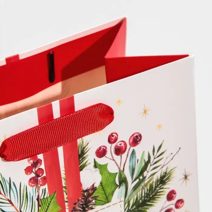 Пакет подарочный новогодний ламинированный «Чудесного Нового Года», MS 18 х 23 х 10 см