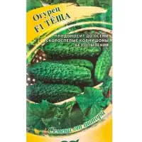 Семена Огурец &laquo;Теща&raquo;, F1, корнишон, скороспелый, партенокарпический, 10 шт., &laquo;Гавриш&raquo;