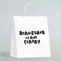 Пакет подарочный с приколами «Волшебная на всю голову», 24×14×28 см