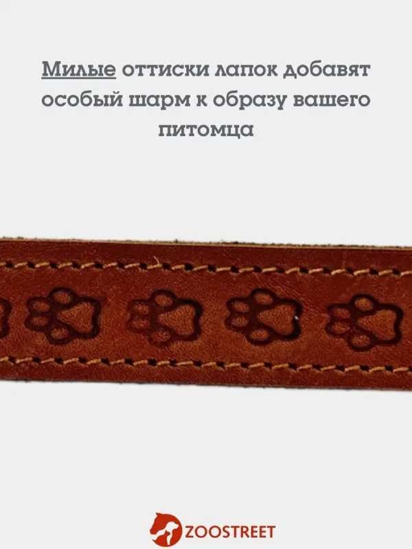 Ошейник, 50&times;2.5 см, с подкладом тиснение, кожа, коричневый