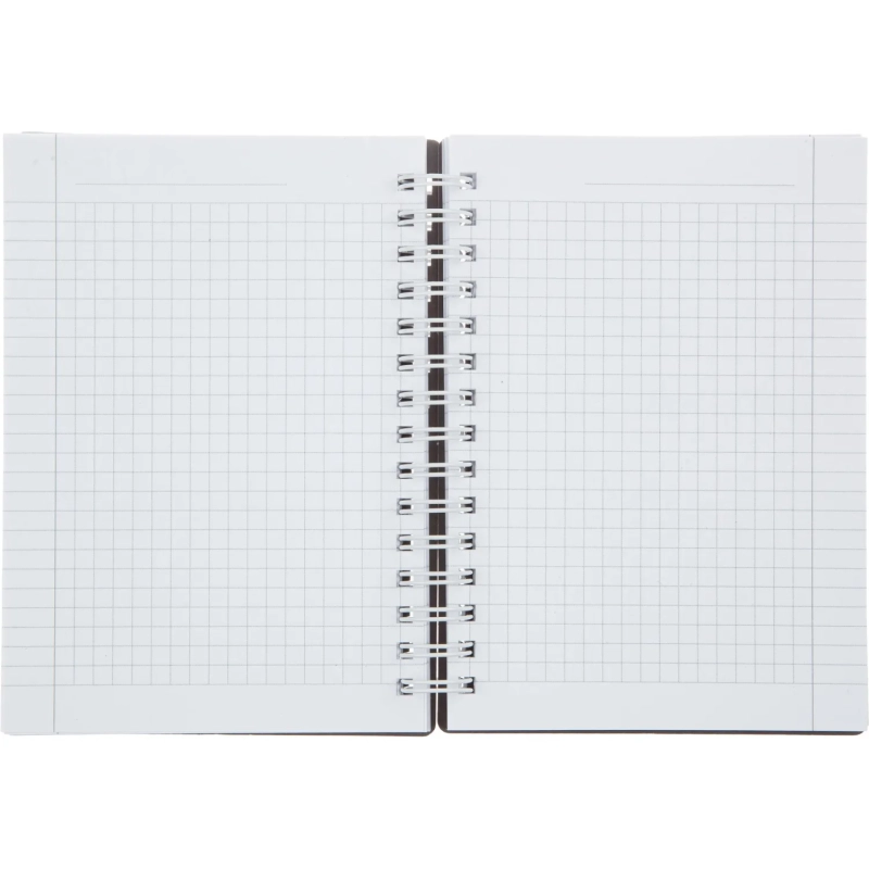 Блокнот BS, 102х142мм, 120л., клетка,  спираль. Botanica, эвкалипт, N4261