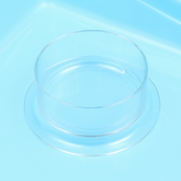 Клетка для грызунов Клетка для грызунов "Пижон", с наполнением 37 х 27 х 30 см, голубая