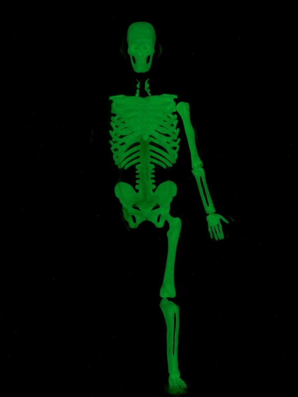 ЭВРИКИ Набор для опытов "Строение тела", светящееся с мягкими органами