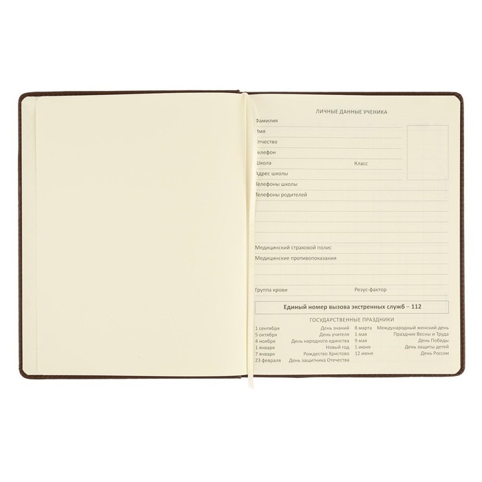 Дневник универсальный для 1-11 класса Dark brown, твёрдая обложка, искусственная кожа, с поролоном, ляссе, 80 г/м2