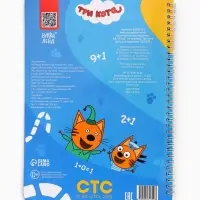 Книга многоразовая &laquo;Замечательные задачки&raquo;, А4, 32 стр., 4 маркера, Три кота