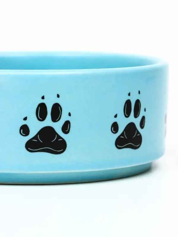 Миска &laquo;Лапки&raquo;, 180 мл, 10.5&times;10.5&times;4 см, матовая, керамика, голубая