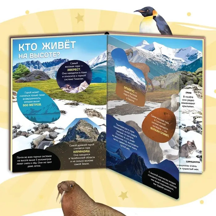 Энциклопедия с прозрачными страницами &laquo;Жизнь на земле. Животные и где они обитают&raquo;, 30 стр.