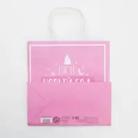 Пакет подарочный новогодний «Пусть Новый год подарит сказку», 22 х 22 х 11 см Пакет подарочный новогодний «Пусть Новый год подарит сказку», 22 х 22 х 11 см