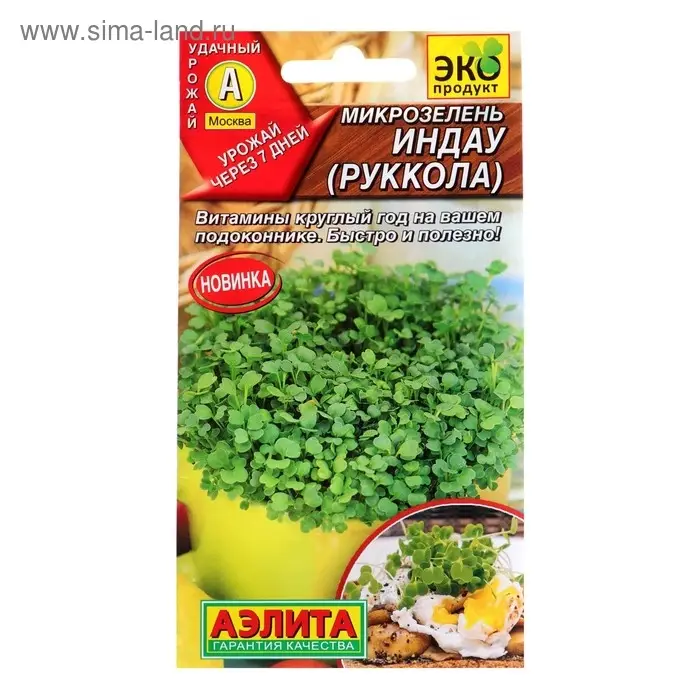 Семена Микрозелень Руккола, 5 г Семена Микрозелень Руккола, 5 г