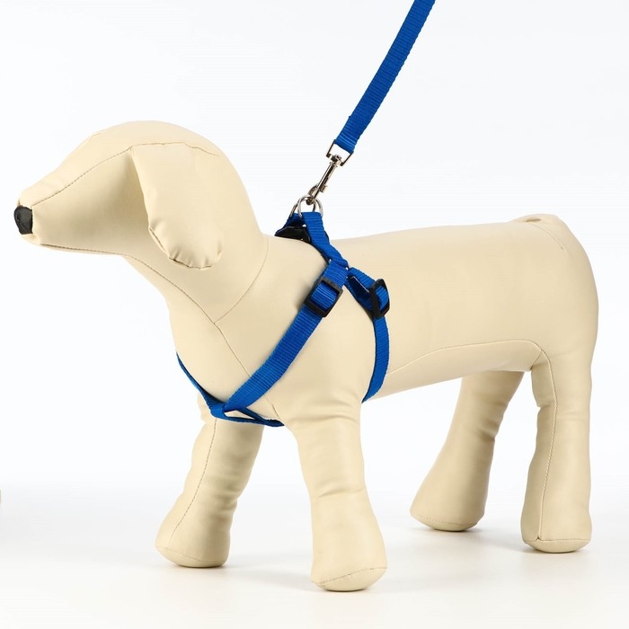 Комплект Комплект "Базис", поводок 120 х 1,5 см, шлейка 32-46 х 1,5 см, синий