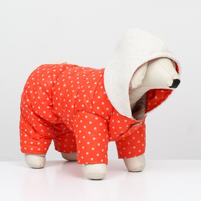 Комбинезон  Комбинезон "Для прогулки", размер 8 (ДС 19 см, ОГ 30, ОГ 22 см), оранжевый