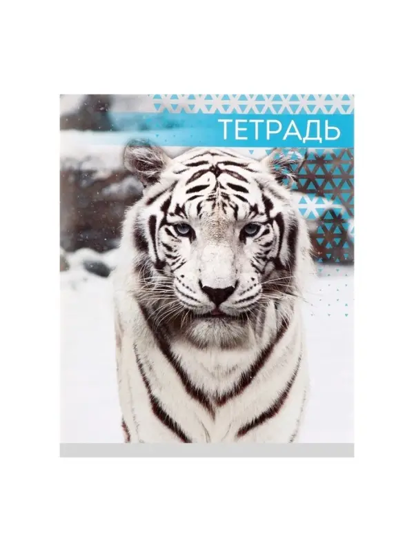 Тетрадь &laquo;Дикие кошки&raquo;, 48 листов, в клетку, МИКС