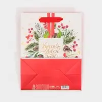 Пакет подарочный новогодний ламинированный «Чудесного Нового Года», MS 18 х 23 х 10 см