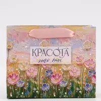 Пакет подарочный &laquo;Красота &mdash; это ты&raquo;, 15&times;12&times;5.5 см