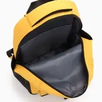 Рюкзак школьный, 2 отделения, 4 кармана, водонепроницаемое дно, 27&times;13&times;38.5 см, жёлтый