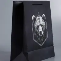 Пакет подарочный "Мужской выбор" ламинированный 26 х 12 х 32 см