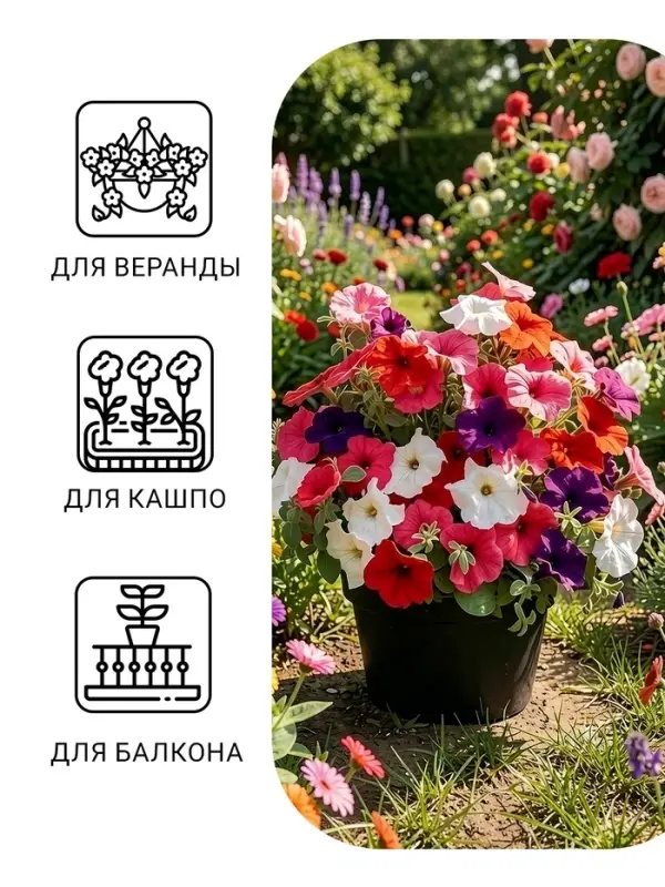 Семена цветов Петуния &laquo;Балконная&raquo;, 210 шт., &laquo;Дом семян&raquo;