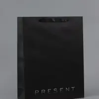 Пакет ламинированный вертикальный Present, 33&times;42&times;10 см