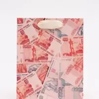 Пакет подарочный «Деньги», S 12 × 15 × 5,5 см Пакет подарочный «Деньги», S 12 × 15 × 5,5 см