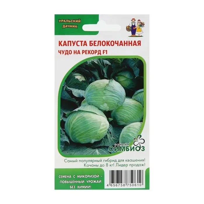 Семена Капусты белокочанной Семена Капусты белокочанной "Чудо на рекорд" F1 позднеспелый,крупнокочанный, 0,3 г