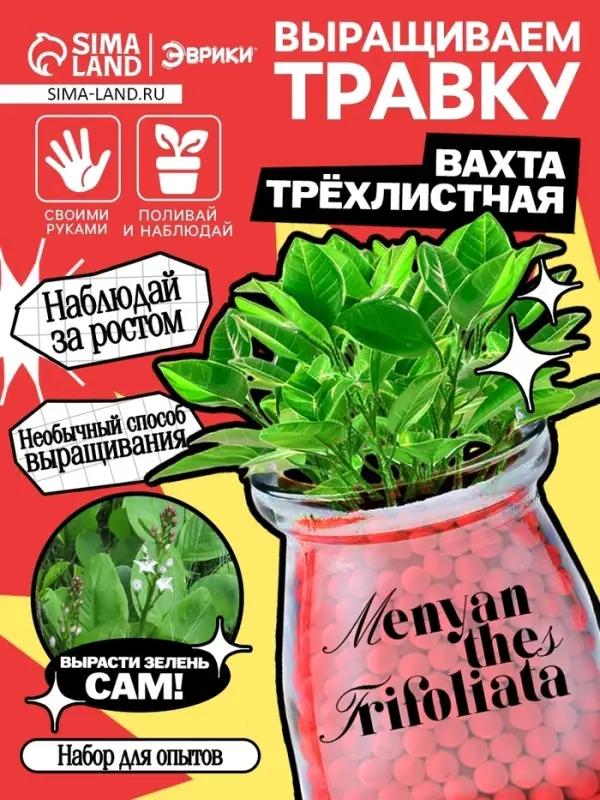 Набор для опытов &laquo;Выращиваем травку&raquo; своими руками, красный