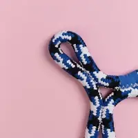 VETTA Игрушка для домашних животных, хлопок, 14х22 см