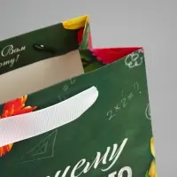 Пакет подарочный ламинированный, упаковка, «Лучшему Учителю», MS 18 х 23 х 10 см