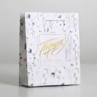 Пакет подарочный ламинированный, упаковка, Gift for you, S 12 х 15 х 5.5 см