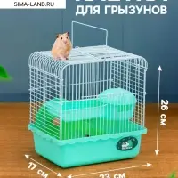 Клетка для грызунов &laquo;Пижон&raquo;, 23&times;17&times;26 см, эмаль, зелёная