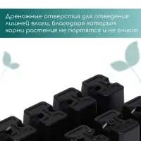 Кассета для рассады Greengo на 10 ячеек, по 100 мл, пластиковая, чёрная, 25×14×5 см