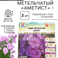 Флокс метельчатый «Аметист», корневище в пакете с торфогрунтом, р-р I, 2 шт.