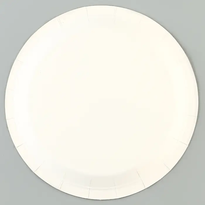 Тарелки бумажные одноразовые «Полоски», 6 шт.