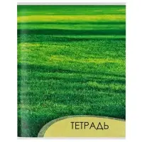 Тетрадь 96 листов в клетку, Calligrata &laquo;Текстура 2&raquo;, МИКС