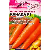 Семена Морковь &laquo;Канада&raquo; F1, 0.2 г, &laquo;Семена Алтая&raquo;, Bejo, Голландские семена