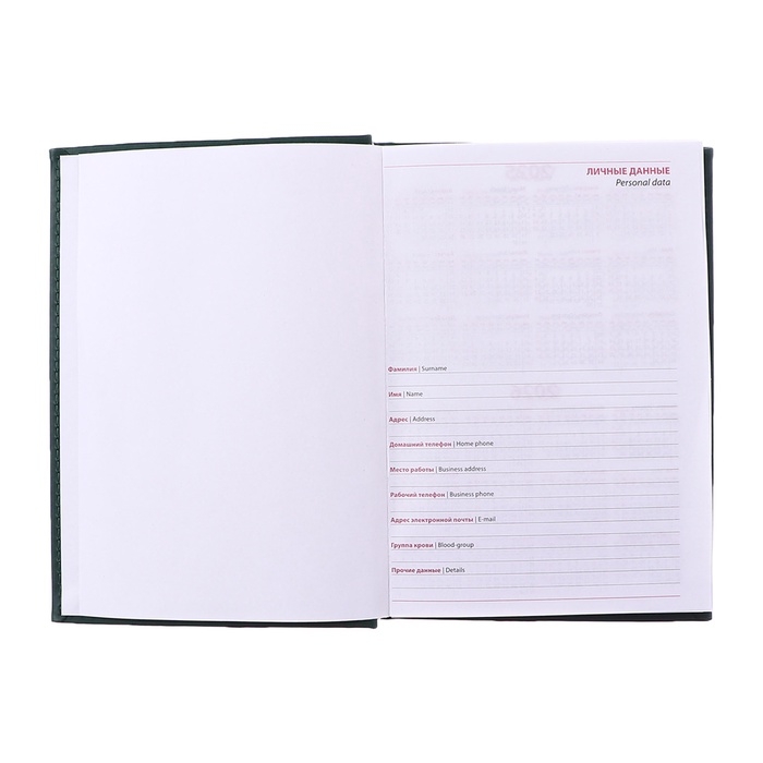 Ежедневник недатированный А5, 160 листов Ежедневник недатированный А5, 160 листов "Вивелла", обложка искусственная кожа, перфорация углов, зелёный