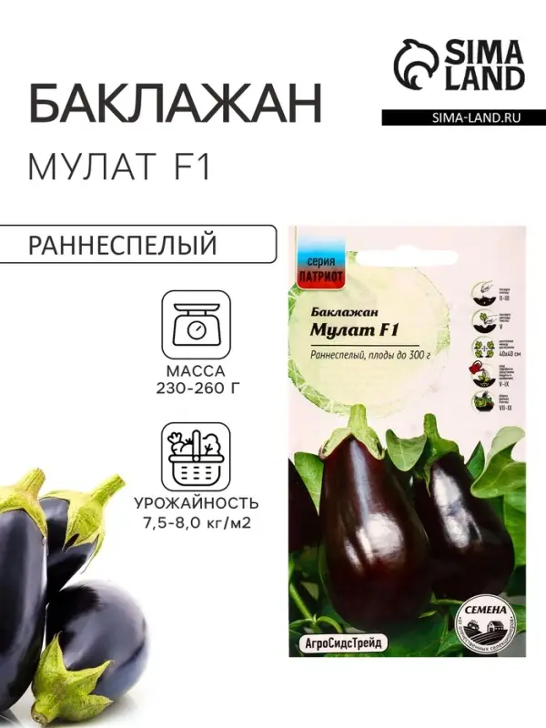 Семена Баклажан &laquo;Мулат&raquo;, F1, 0.1 г, &laquo;АгроСидсТрейд&raquo;