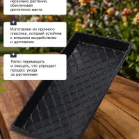 Поддон для рассады, 55&times;30&times;5.6 см, пластик, чёрный, дно МИКС, Greengo