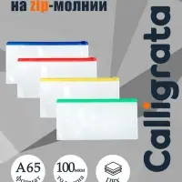 Папка-конверт на ZIP-молнии Calligrata А65 (122&times;240 мм), 100 мкм, прозрачная, МИКС