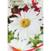 Набор семян Ромашка "Гигантелла", 5 шт. Набор семян Ромашка "Гигантелла", 5 шт.