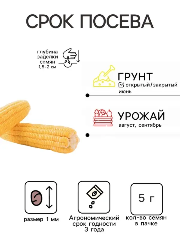 Семена Кукуруза сахарная &laquo;Ранняя лакомка 121&raquo;, 5 г, &laquo;Кольчуга&raquo;