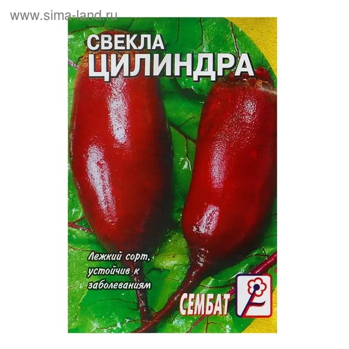 Семена Свекла  Семена Свекла "Цилиндра", 1 г