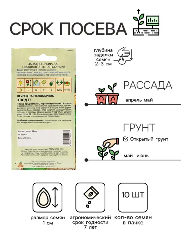 Семена Огурец"Этюд"F1 10шт* КС