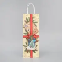 Пакет под бутылку «Почта», 13 x 36 x 10 см
