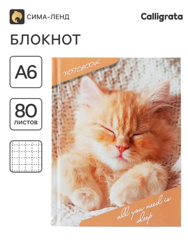 Блокнот А6, 80 листов в клетку &laquo;Соня&raquo;, твёрдая обложка, глянцевая ламинация, блок офсет