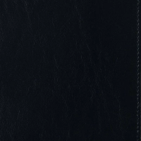 Ежедневник полудатированный синий,A5,152х222мм,Br.V.PROFY 3-073/01