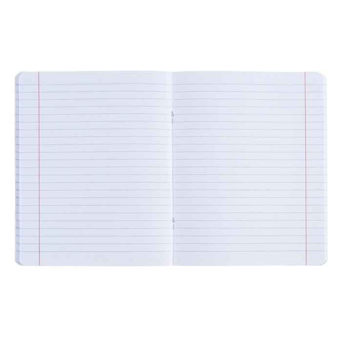 Тетрадь предметная ЛИТЕРАТУРА, 48 листов в линейку, ErichKrause Manga, обложка мелованный картон, твин-лак, блок офсет 100% белизна, инфо-блок