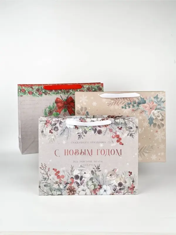 Набор новогодних пакетов &laquo;Спешу поздравить&raquo;