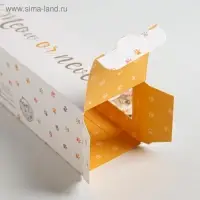 Коробка для макарун кондитерская, упаковка «Meow or never», 18 х 5,5 х 5,5 см