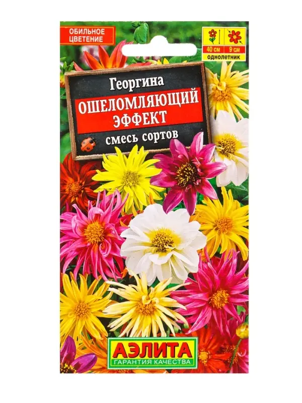 Семена цветов Георгина Ошеломляющий эффект, смесь сортов , Ц/П,10 шт. Семена цветов Георгина Ошеломляющий эффект, смесь сортов , Ц/П,10 шт.